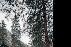 Toyota 4Runner на дисках Black Rhino Primm