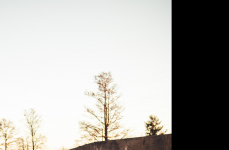 Audi R8 на дисках Hybrid Forged HF-5