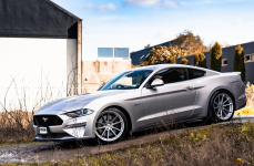 Ford Mustang на дисках TSW BATHURST