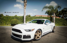 Ford Mustang на дисках BLAQUE DIAMOND BD-21