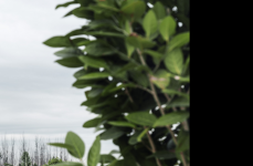 Range Rover Sport на дисках Hybrid Forged HF-3