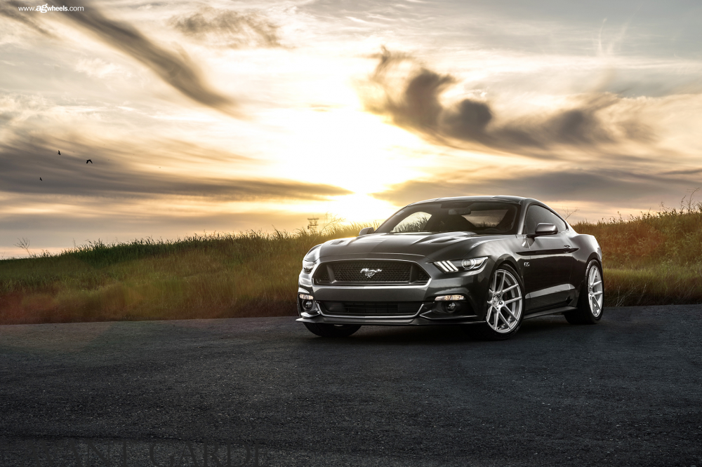 Ford Mustang GT на дисках Avant Garde M510