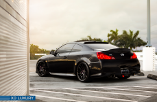 Infiniti G37 IPL на дисках XO Luxury XF1 Onyx
