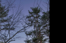 Mercedes-Benz G550 на дисках Vossen Hybrid Forged HF-3