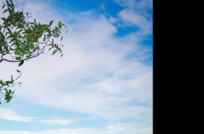 BMW X5 на дисках Hybrid Forged HF-1