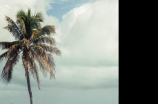 Mercedes S550 на дисках Hybrid Forged HF-4T