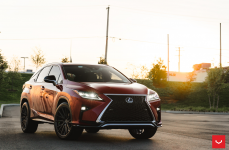 Lexus RX350 на дисках Hybrid Forged HF-4T