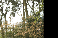 Porsche Taycan на дисках Hybrid Forged HF-4T