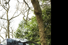 Porsche Taycan на дисках Hybrid Forged HF-4T