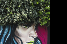 Audi RS6 на дисках Hybrid Forged HF-4T