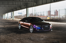 AUDI S5 на дисках Niche Spec