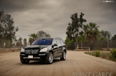 Mercedes GL-Class (X164) на дисках AVANT GARDE M510