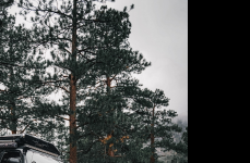 Toyota 4Runner на дисках Black Rhino Primm