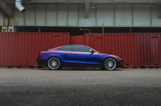 AUDI S5 на дисках Niche Spec