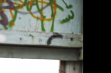 Audi RS6 на дисках Hybrid Forged HF-4T