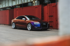 AUDI S5 на дисках Niche Spec