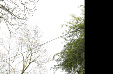 Porsche Taycan на дисках Hybrid Forged HF-4T