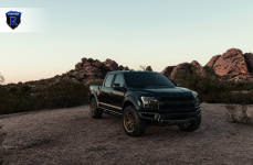 Ford F150 Raptor на дисках RFV2 Matte Bronze