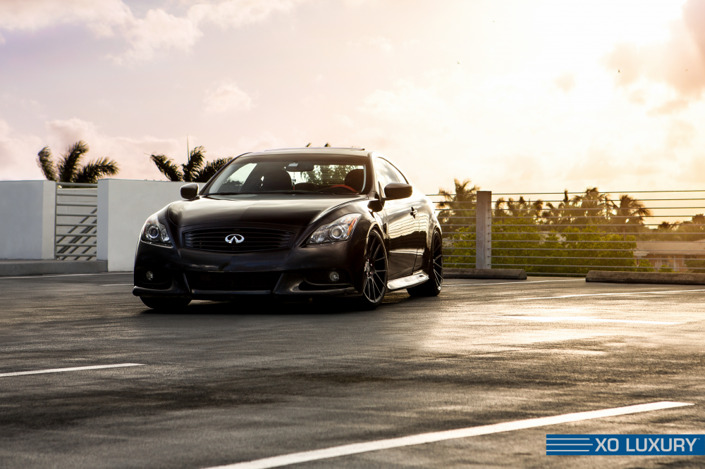 Infiniti G37 IPL на дисках XO Luxury XF1 Onyx