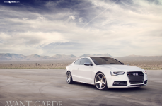 Audi S5 на дисках Avant Garde M550
