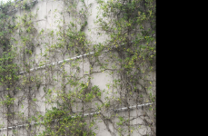 Audi RS6 на дисках Hybrid Forged HF-4T