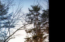 Mercedes-Benz G550 на дисках Vossen Hybrid Forged HF-3