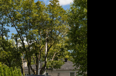 Rolls Royce Cullinan на дисках Vossen Forged S17-13