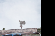 Ford Raptor на дисках Hybrid Forged HF6-2