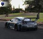 ROHANA RFG3 Custom Painted